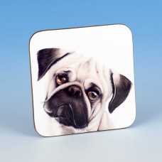 8213 Coaster-MARK CHARLES-COLOURED PUG